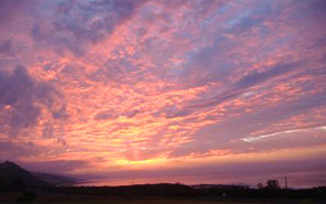 Skenes Creek Lodge Motel & Licensed Restaurant, Apollo Bay accommodation on the Great Ocean Road