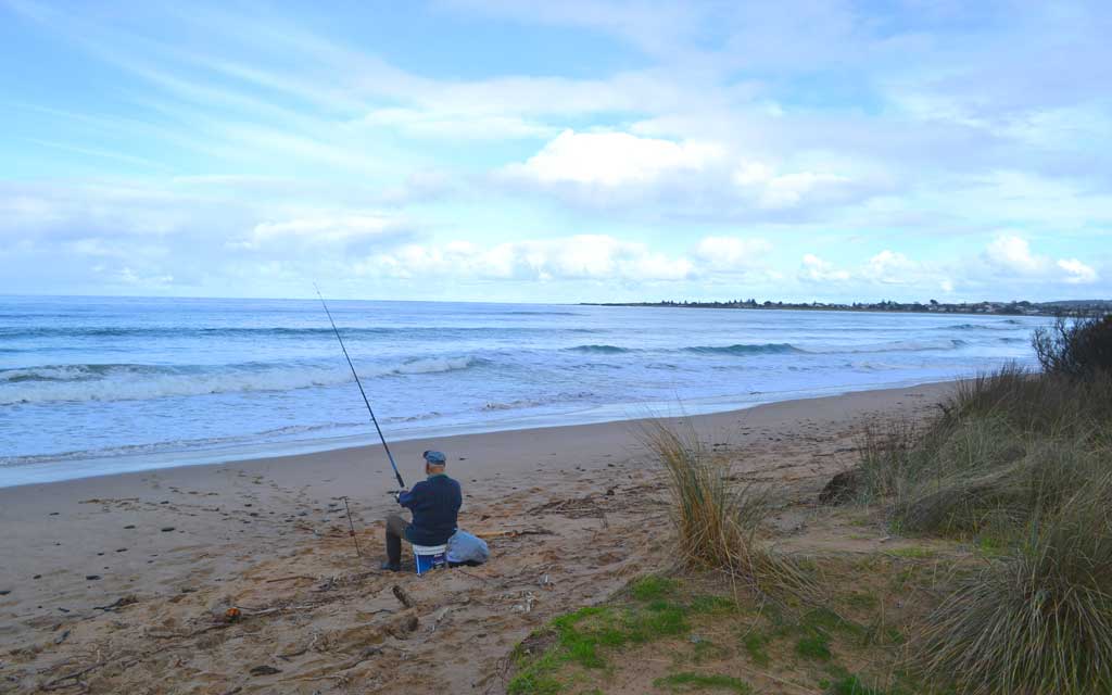 Skenes Creek Lodge Motel & Licensed Restaurant, Great Ocean Road accommodation at Apollo Bay