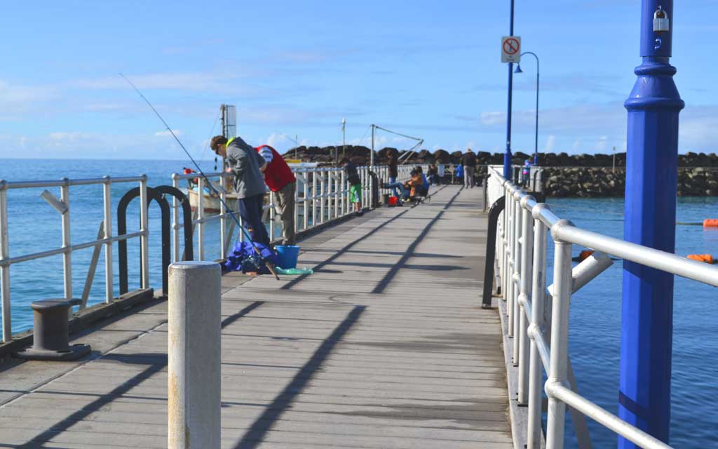 Skenes Creek Lodge Motel & Licensed Restaurant, Apollo Bay accommodation on the Great Ocean Road
