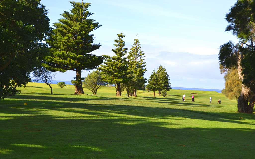 Skenes Creek Lodge Motel & Licensed Restaurant, Apollo Bay accommodation on the Great Ocean Road